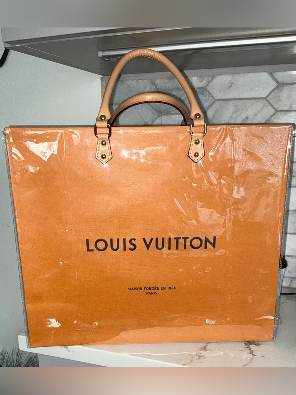 Louis Vuitton Large Paper Shopping Bag W/PVC Protector